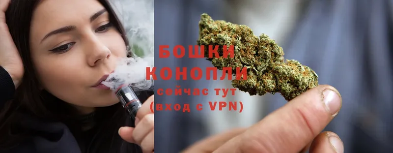 Бошки Шишки THC 21%  цены   Богучар 